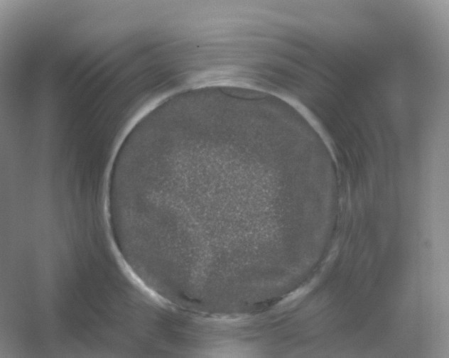 X0000054460957200508121934