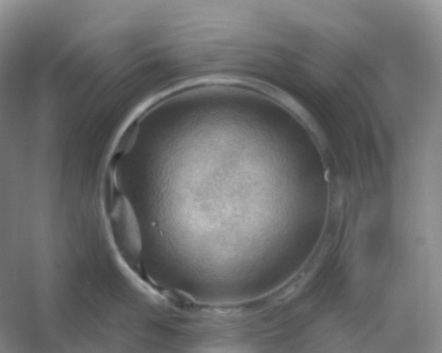 X0000054460958200508121934