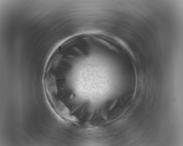 X0000054460959200508121934