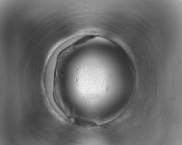 X0000054460960200508121934