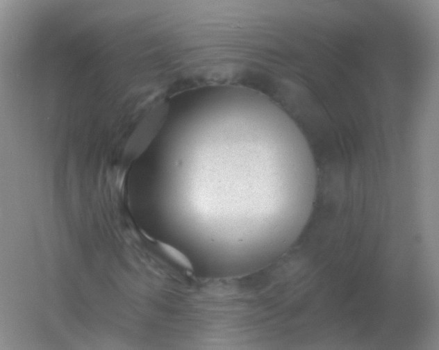 X0000054460962200508121933