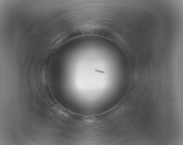 X0000054460964200508121933