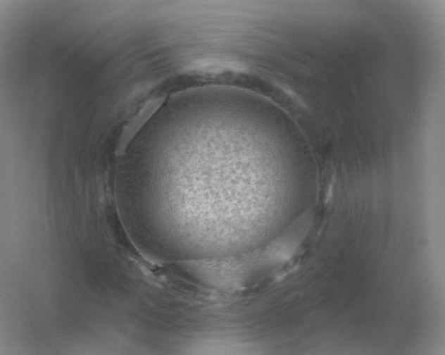 X0000054460965200508121933