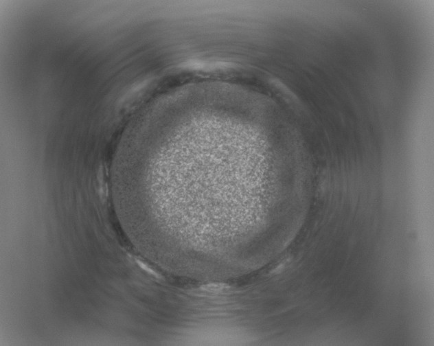 X0000054460966200508121933