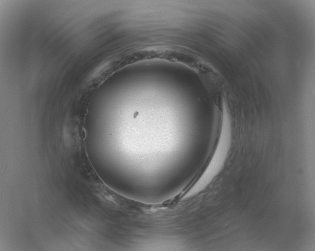 X0000054460968200508121933