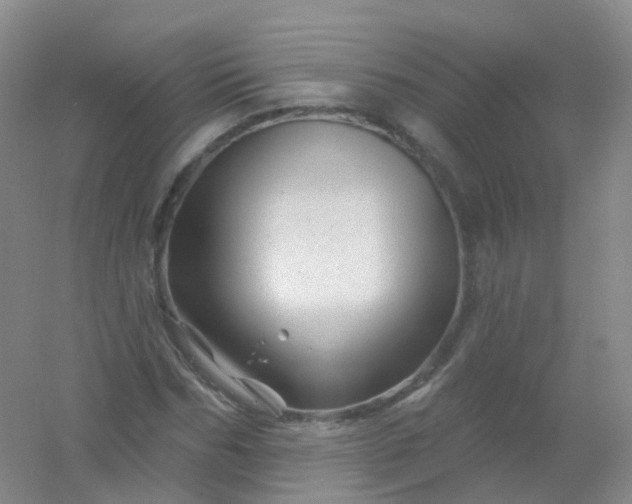 X0000054460970200508121933