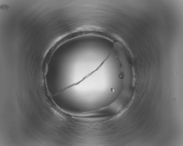 X0000054460973200508121933