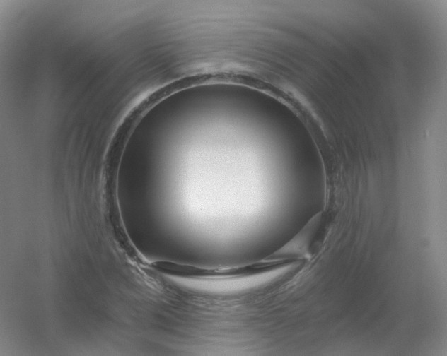 X0000054460975200508121933