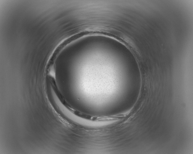 X0000054460976200508121933