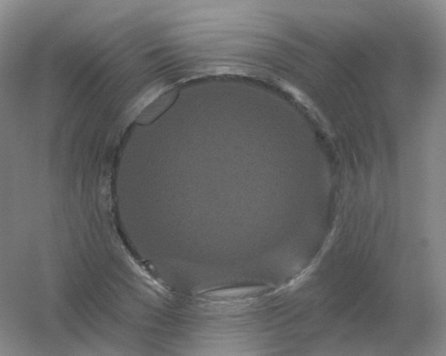 X0000054460977200508121933