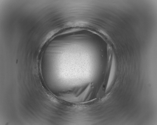 X0000054460978200508121933