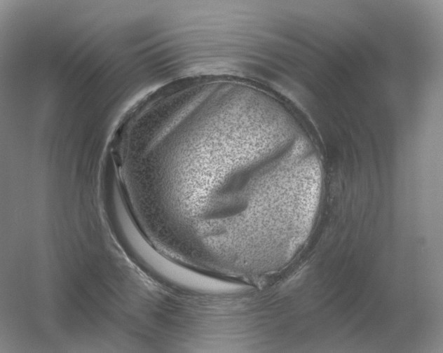 X0000054460979200508121933