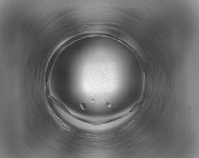 X0000054460980200508121933