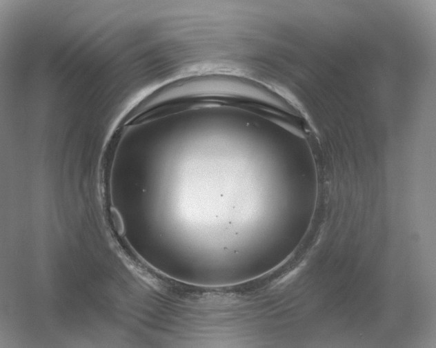 X0000054460981200508121933