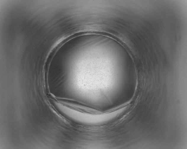 X0000054460982200508121933