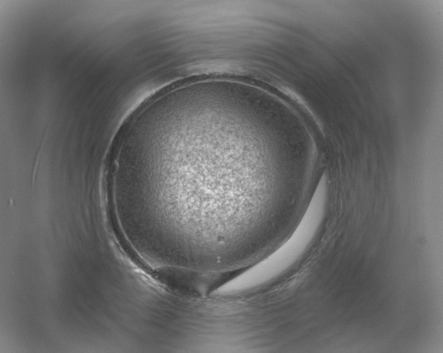 X0000054460983200508121933