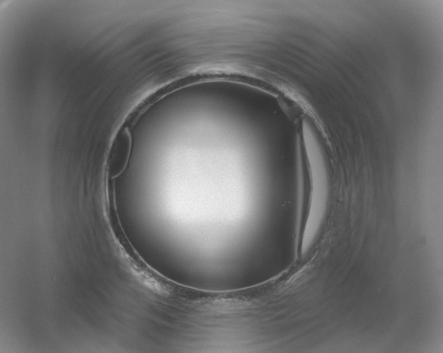 X0000054460984200508121933