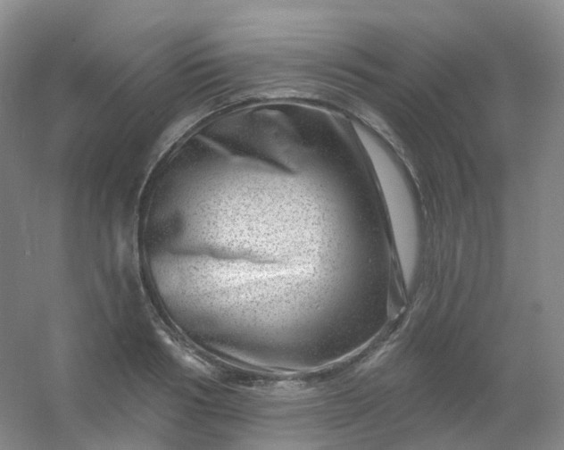 X0000054460986200508121932