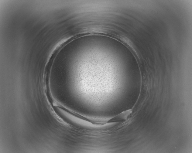 X0000054460987200508121932