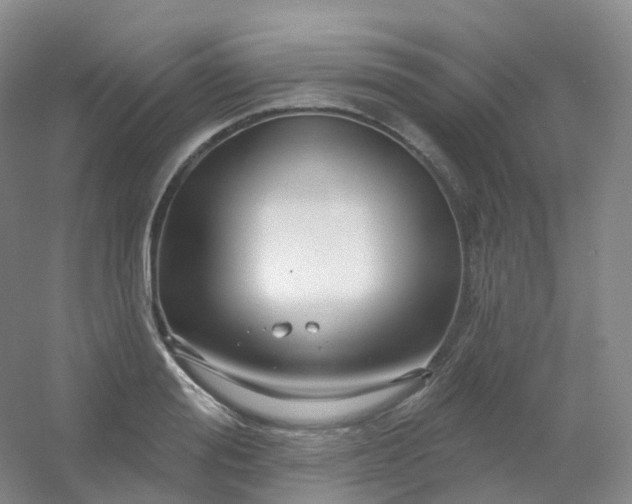 X0000054460988200508121932