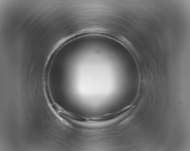 X0000054460989200508121932