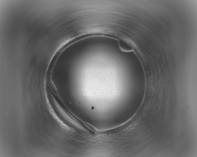 X0000054460991200508121932