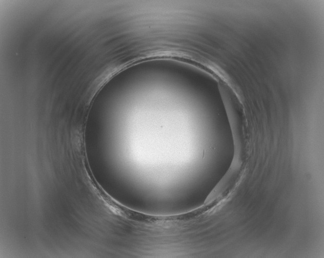 X0000054460993200508121932