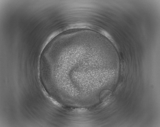 X0000054460994200508121932