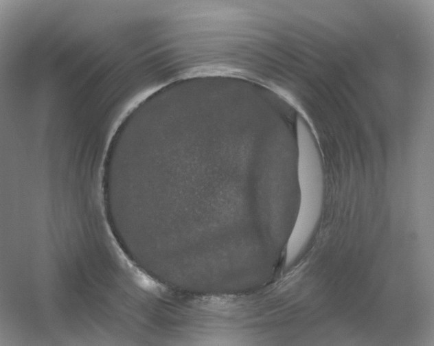 X0000054460995200508121932