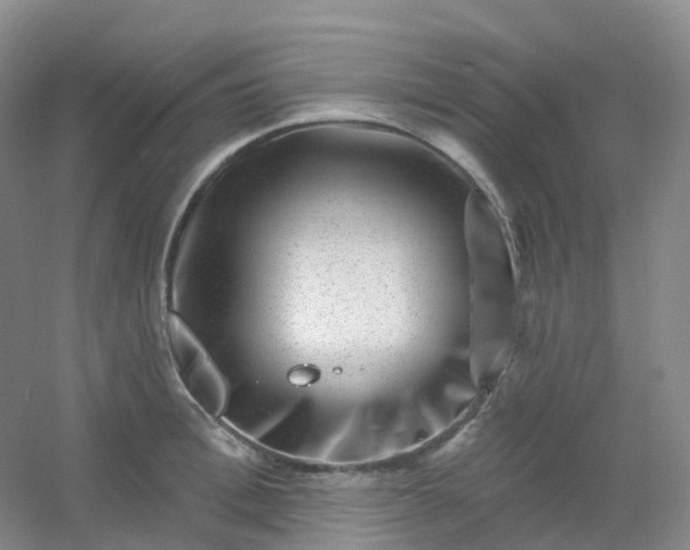 X0000054460996200508121932