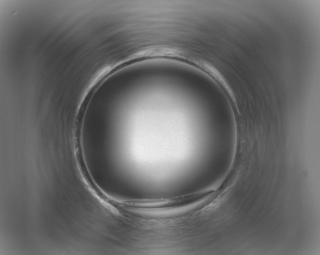 X0000054460997200508121932