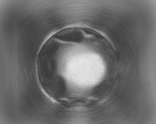 X0000054460998200508121932