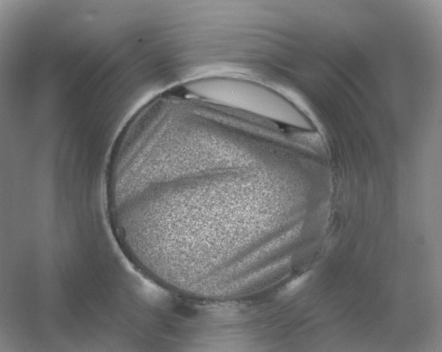 X0000054460999200508121932