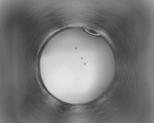 X0000054461000200508121932