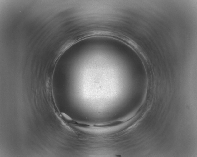 X0000054461001200508121932