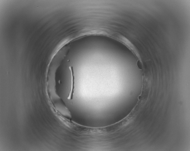 X0000054461002200508121932