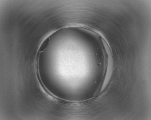 X0000054461003200508121932