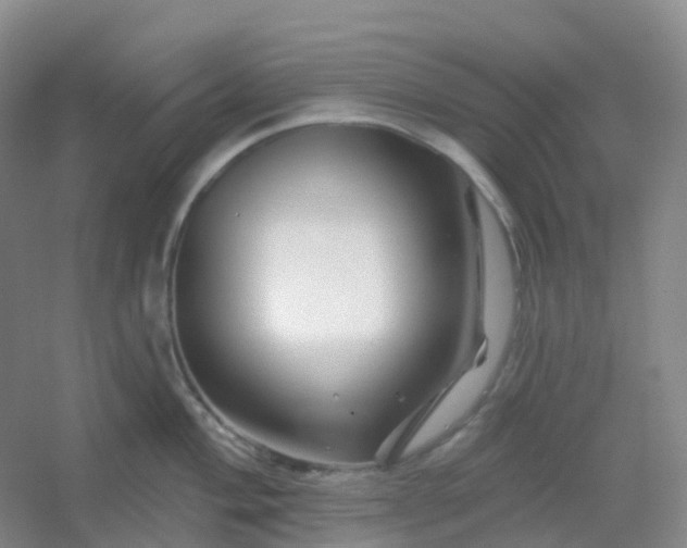 X0000054461004200508121932