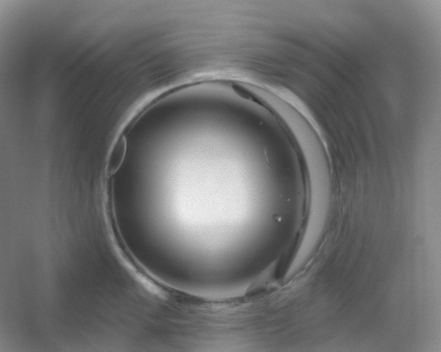 X0000054461005200508121932