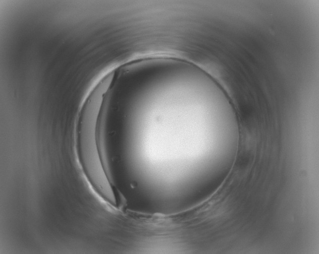 X0000054461006200508121932