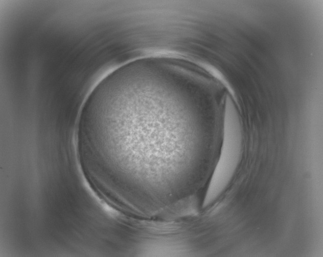 X0000054461007200508121932