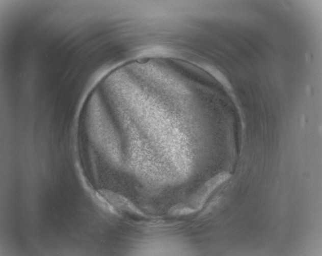 X0000054461008200508121932