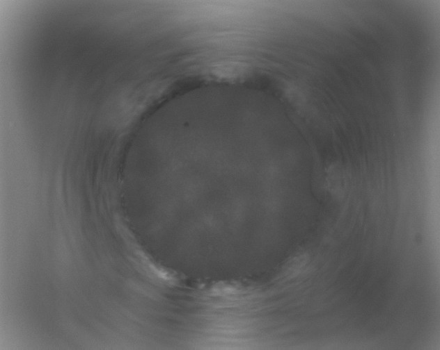 X0000054461009200508121931