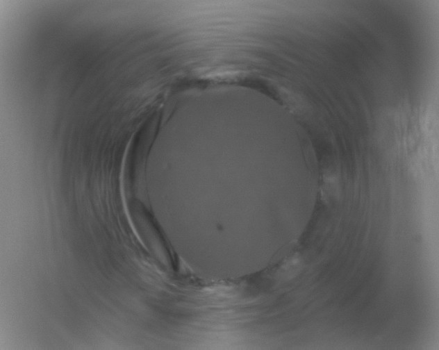 X0000054461010200508121931