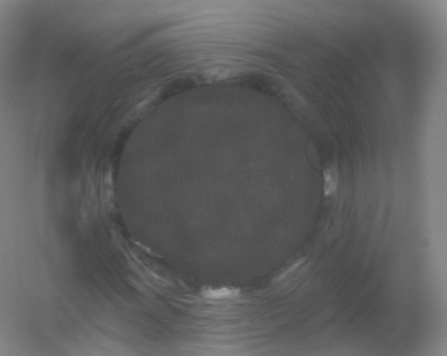 X0000054461011200508121931