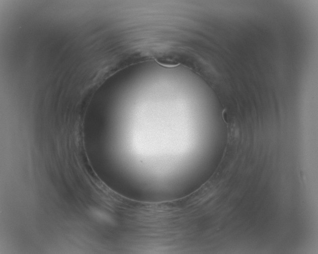 X0000054461012200508121931