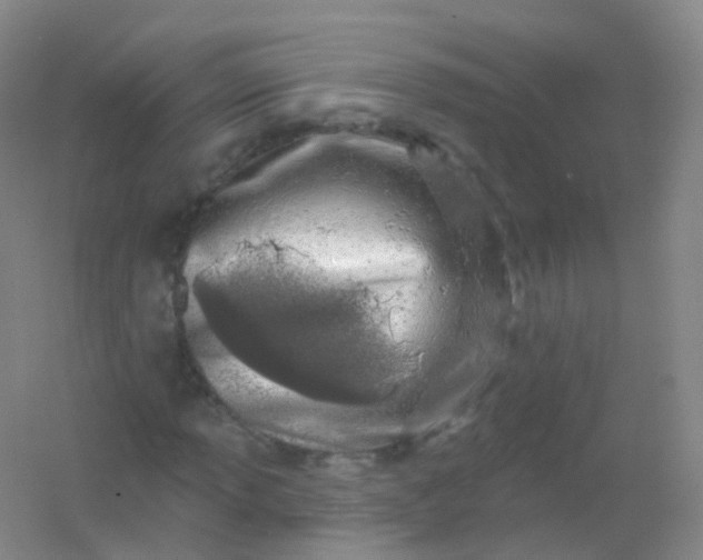 X0000054461013200508121931