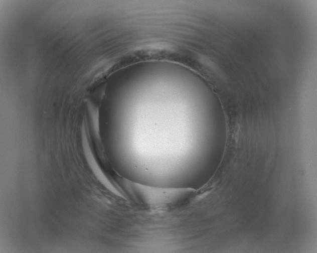 X0000054461014200508121931