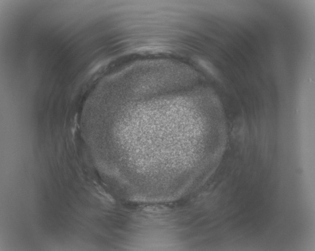 X0000054461015200508121931