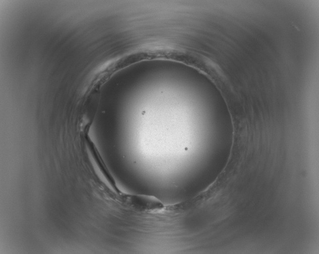 X0000054461016200508121931